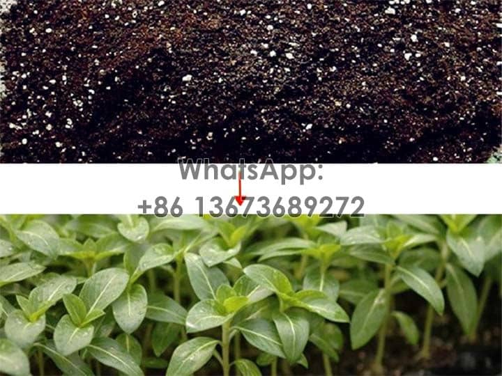 Soil-matrix-benifits-to-nursery-seedlings